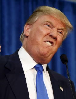 Screen Shot 2016-08-13 at 4.04.54 PM